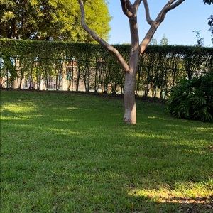 Meet your Posher, Rolando